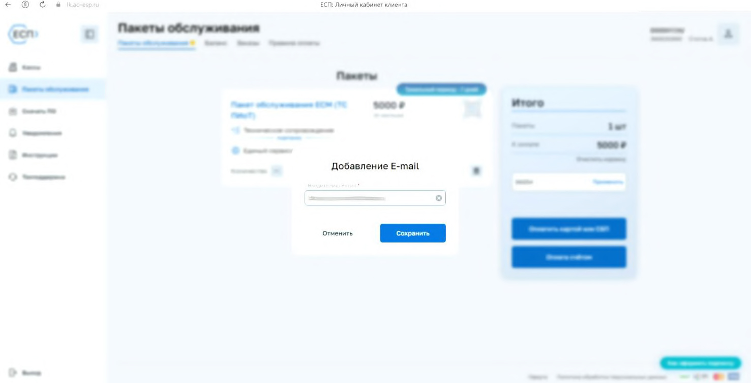 Указание email для получения счёта